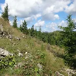 Kamzik Donovaly, 41 *