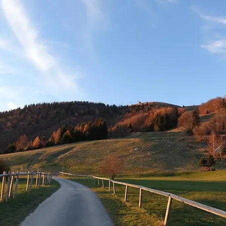 Kamzik * ドノヴァリ