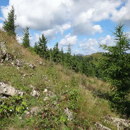 Kamzik Donovaly, 41 *
