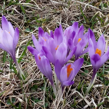 Apartament Kamzik Donovaly