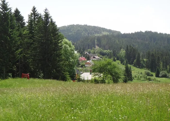 Kamzik Donovaly